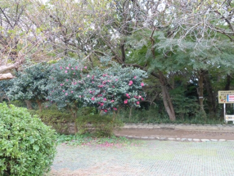 画像15